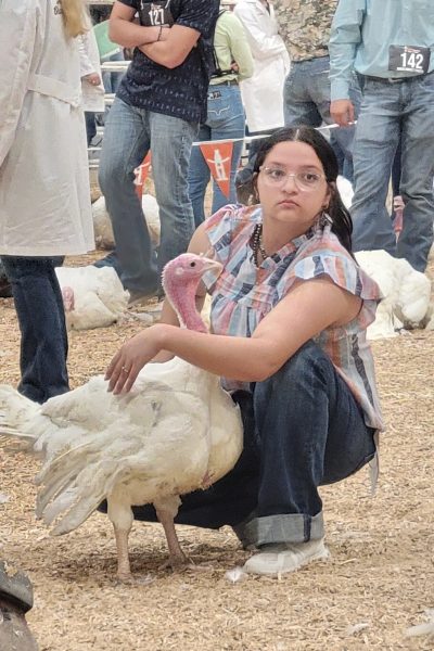 turkey